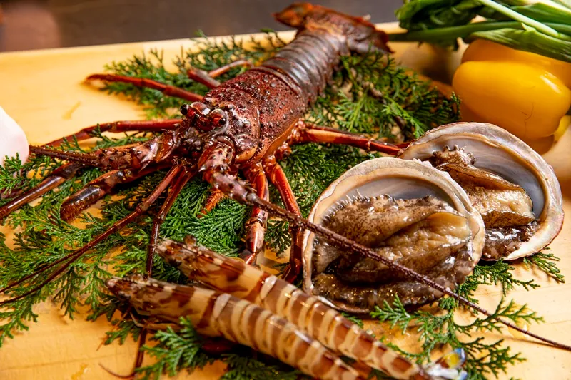 음식에 대한 고집